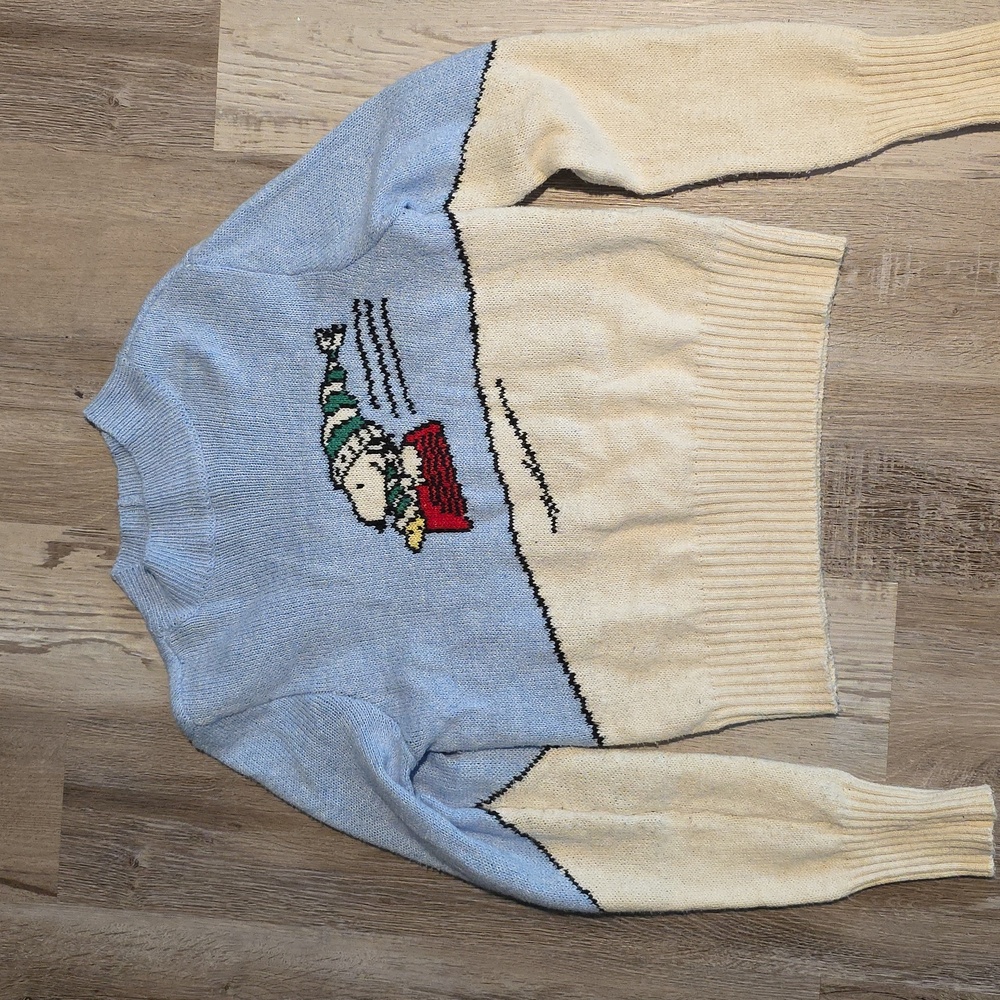 American Eagle Outfitters Blue and Cream Graphic Crewneck Sweater